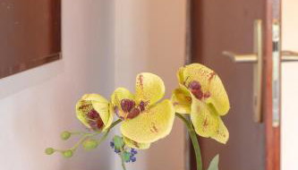 Holiday home Paradise - Foto 2