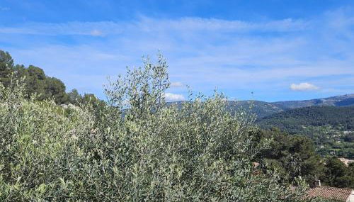 Le Micocoulier - Foto 3