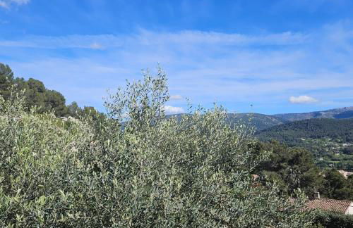 Le Micocoulier - Foto 3