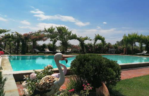 Podere Piandarca - Photo 61