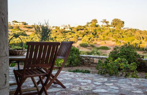 Celestia Traditional Houses - Photo 9