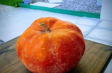 Nas Mar & Twins - Aristea - Foto 22