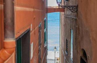 La Fernandina - Foto 53