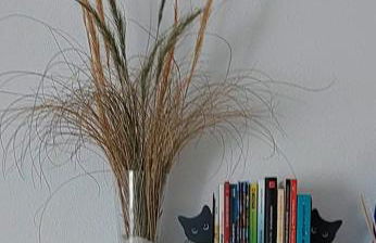 Esparto y sal - Foto 6