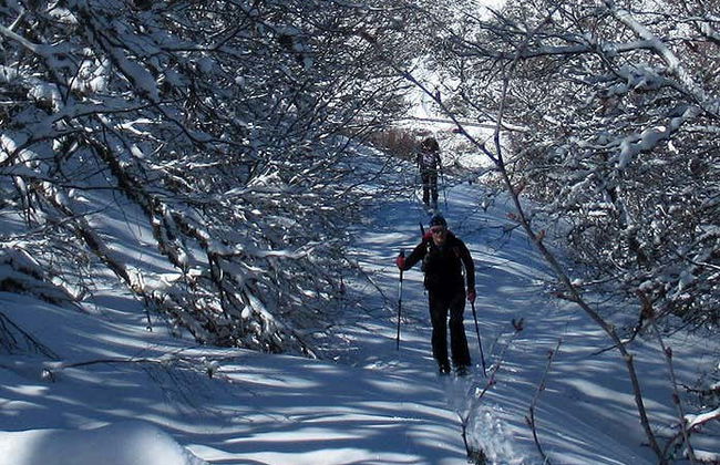 Passeggiata con racchette da neve al Parco Naturale di Somiedo - Foto 1