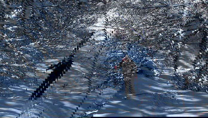 Recorriendo el parque en raquetas de nieve