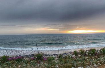 Moradia Pinheiro Manso - Foto 34