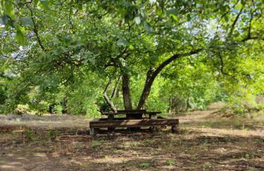 Mount Etna Chalet - Foto 32