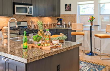 Hacienda SoCo - Fire Pit & 3 Min Walk to SoCo - Foto 23