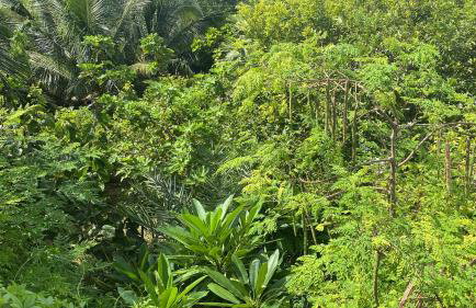 Ocean View with Pool, 4 bedroom Vila Near Key West - Foto 51