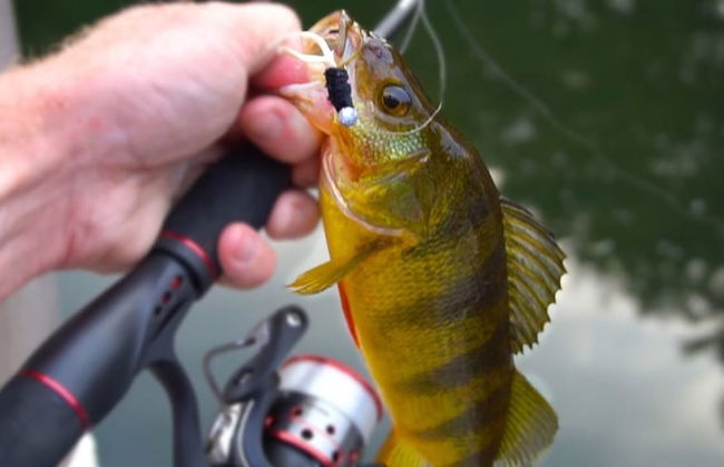 The Cottages of Lynchburg - Foto 73