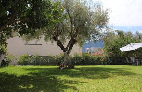 Holiday Lefkas Sunrise Luxury Appartments - Photo 42