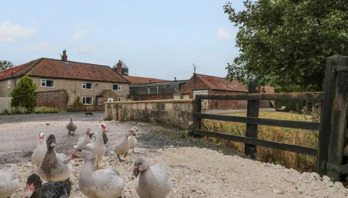 Bellmanear Farm Cottage - Foto 1