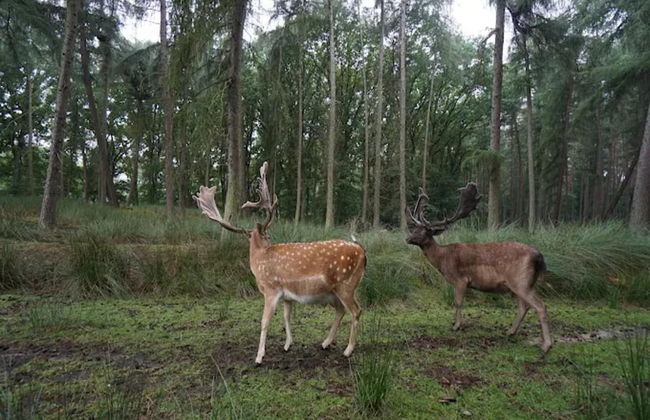 Appartement in Reizvoller Nachbarschaft - Foto 38