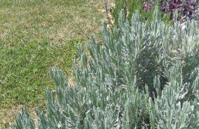 Monte Girassol - The Lisbon Country House - Foto 54