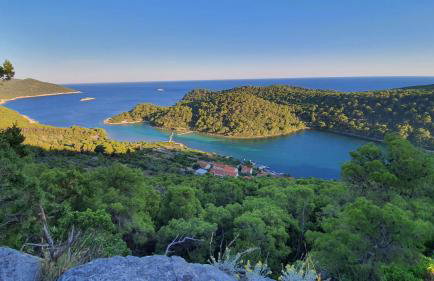Apartmani Pjevalo-Mljet - Photo 6