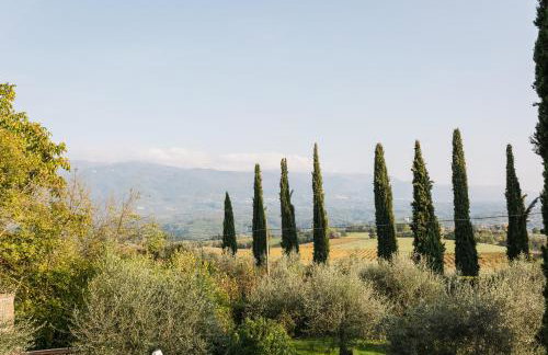 Agriturismo Fattoria Pagnana Wine & Pool - Foto 38