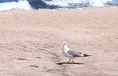 Villa Christina - Foto 46