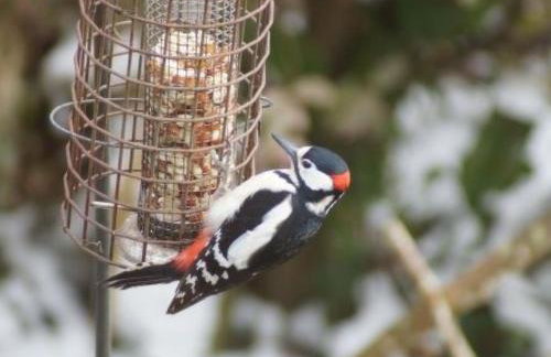 Holiday Home Idyllisches Landhaus Rosemary by Interhome - Photo 18