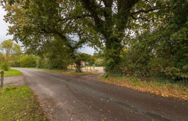 Host Stay Redwings Sanctuary Rooms - Foto 30