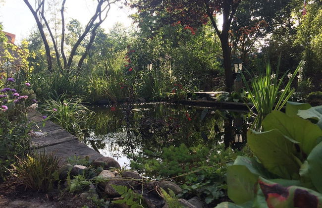 Holiday Home in Reutum With Pond and Trails - Photo 36