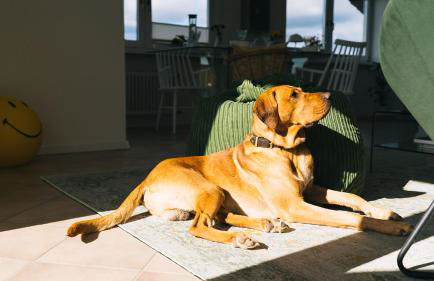 Eifel17 - Die Ferienwohnung - Foto 21