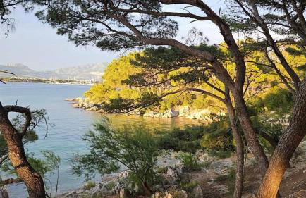 Little cherry - Photo 45