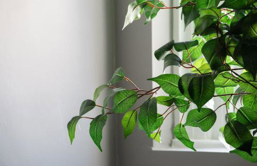 Crown Street Aparthotel 2 - Foto 58