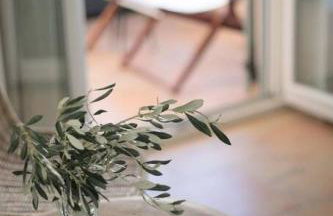 Naxos Chalkion Beautiful Detsis House With Jacuzzi - Foto 55