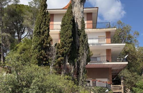 Cau de Serra "Tu refugio en la naturaleza" - Photo 20