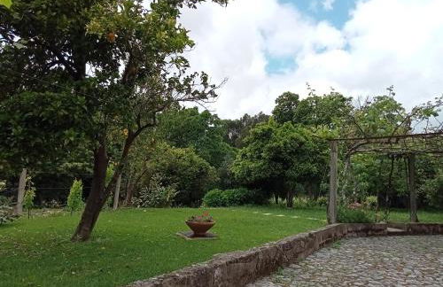 Casa das Guimarães - Photo 10