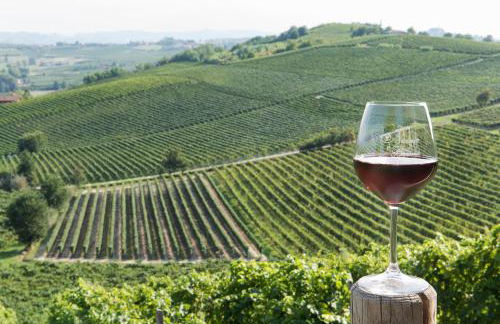 Agriturismo Albarossa - Foto 32