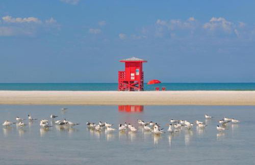 Peaceful Oasis 7 Min to Siesta Key - Foto 21