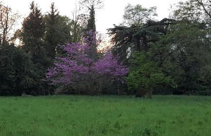 Villa Mainardi Agriturismo - Foto 25