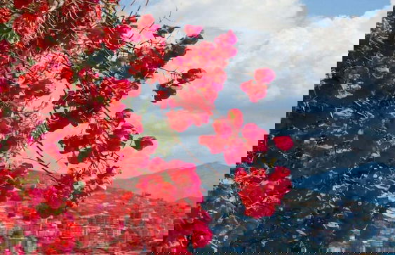 Mariana Apartments - Foto 53