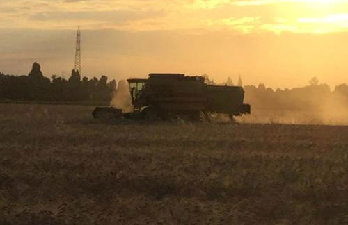 Agriturismo Flabeto - Foto 32