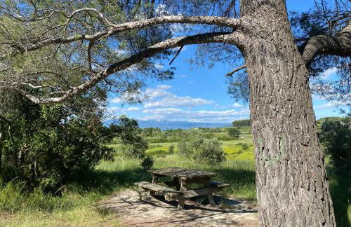 Inspiration maison entière avec jardin - Photo 23