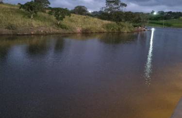 Nega Joana - Foto 37