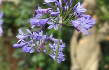 The Old Cheese Press, Eckington - Foto 33