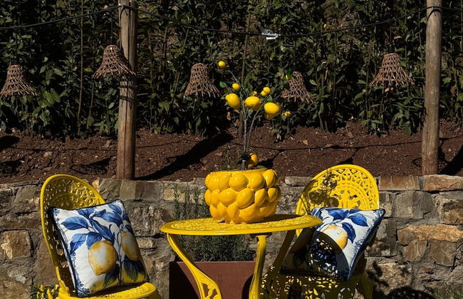 Terre di Baccio - Foto 5