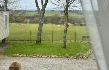 28 The Beeches - Foto 9