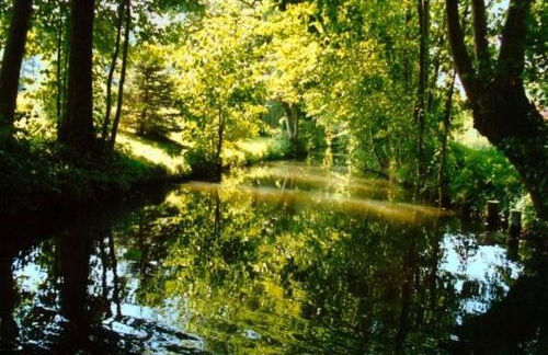 Inas Spreewaldstube - Foto 16