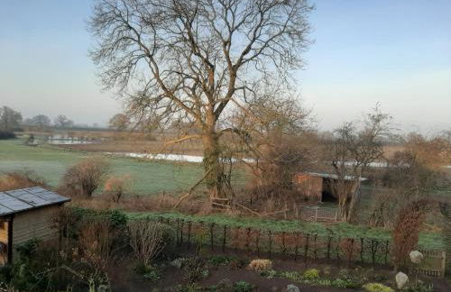 Ferienwohnung an den Leinewiesen - Photo 7