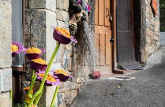 Apartamentos Rurales & Spa La Bárcena - Foto 7