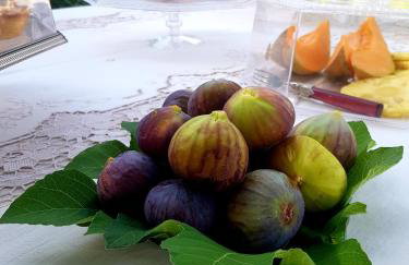 Terre Di Vendicari - Photo 20