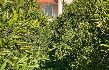 Verano Retreat - Foto 35