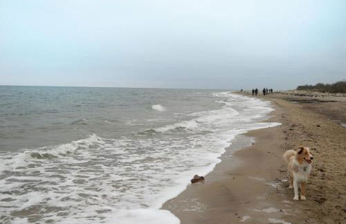 "Haus Landgang" für Naturliebhaber, strandnah, ruhig, mit großem Garten - Foto 53