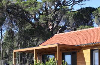 Casas do Pinheiro Grande - Foto 52