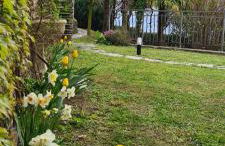 Villa gli Ulivi - Calafate Lake & Mountain View - Foto 42