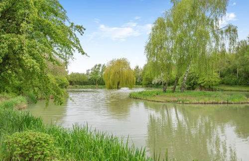 Kingfisher - Uk41034 - Foto 22